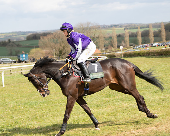 Race 2 - Young Horse Maiden (24 of 104)