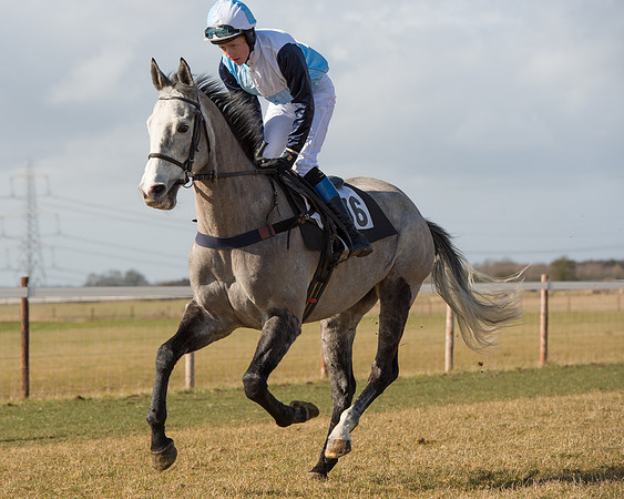 Race 1 - 4-5-6 Maiden (50 of 119).jpg