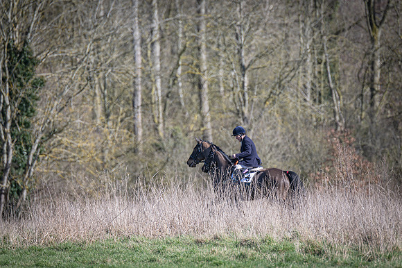 Pony Races (79 of 112)