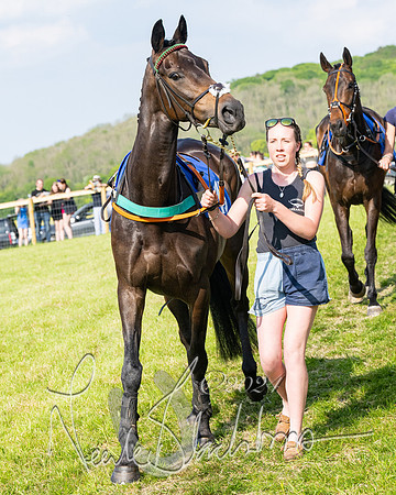 Race 5  - Maiden race 2m5F Div-2 (36 of 205)