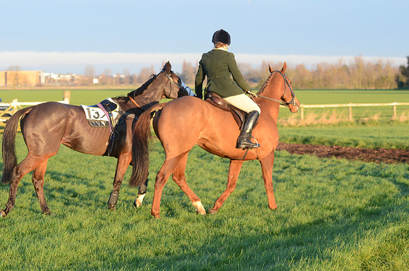 Young Horse Maiden  29