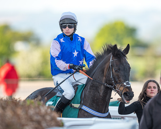Race 3 - KTDA Hunters' Steeple Chase  (71 of 226)