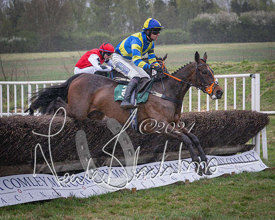Race 7 - The Jockey Club maiden race for Mares and Fillies only (46 of 96)