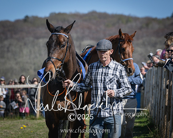 Race 2 - The Maiden (15 of 118)