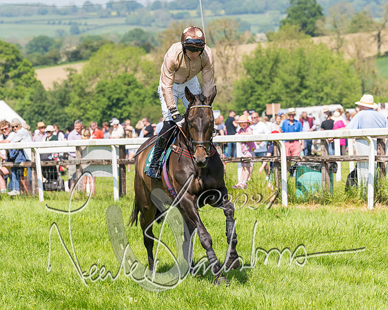 Race 2 - The Maiden  (27 of 442)