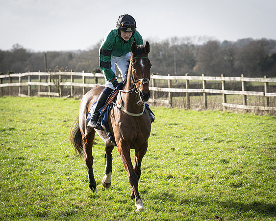 Race 5 - Home counties Grand National (19 of 194)
