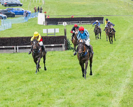 Race 8 - Bumper Div 2 (48 of 84)