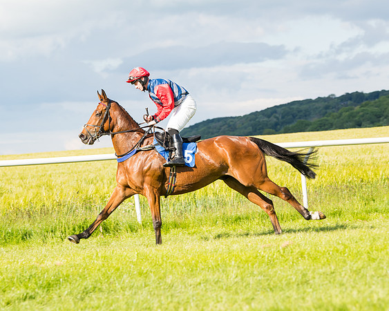 Race 6 - Open Maiden (70 of 227)