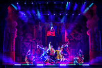 Swan Panto 2017