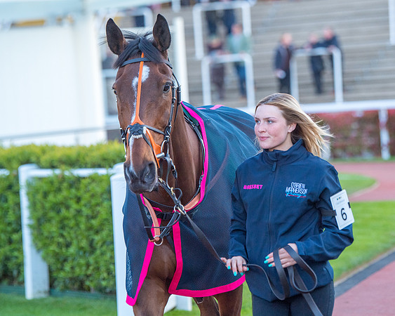 Race 7 - Glos Hussars  (31 of 245)
