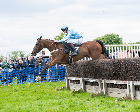 Race 2 - Veteran Horse (20 of 80)
