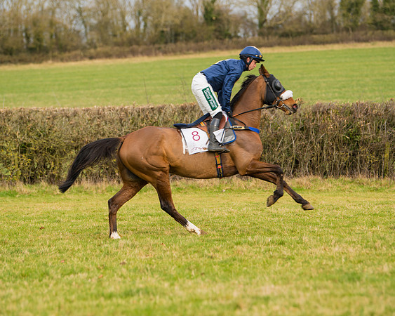 Race 2 - Open Maiden (49 of 128)
