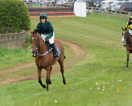 Race 2 - Jockey Club ROR veteran Horse (8 of 104)
