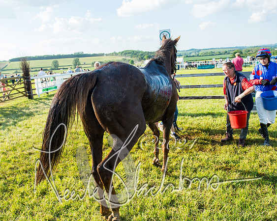 Race 7 - Veteran Horse (220 of 246)