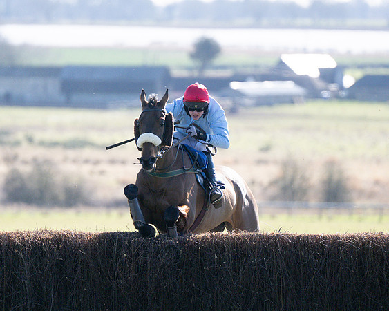 Race 1 - Veteran Horse (51 of 62)