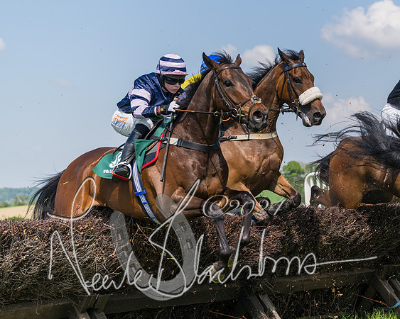 Race 2 - The Maiden  (179 of 442)