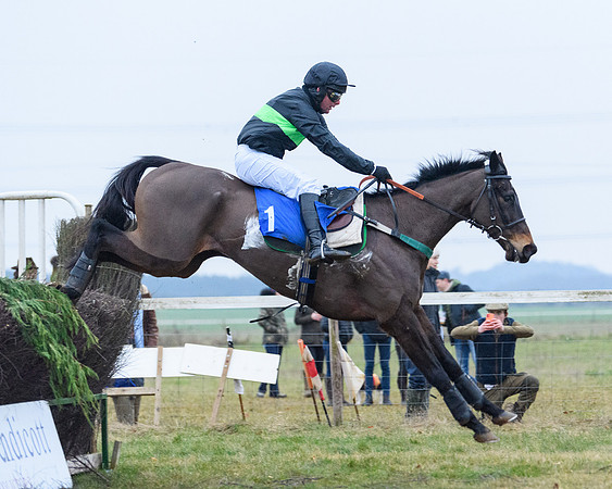 Race 8 - Oprn Maiden Div 2 (63 of 108)