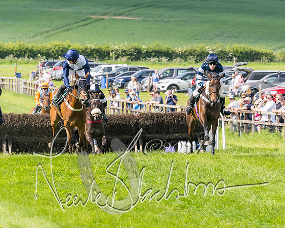 Race 4 - PPORA Novice Riders Final  (149 of 362)