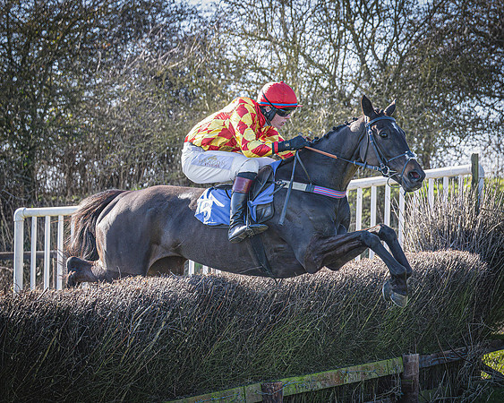 Race 2 - Restricted (24 of 63)