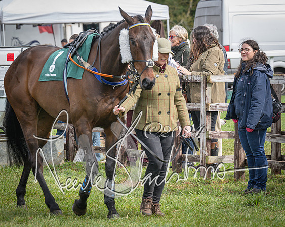 Race 3 - 5 years old and Over Maiden Race (4 of 130)
