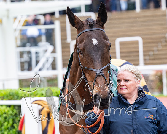 Race 5 - Mares Open  (4 of 129)