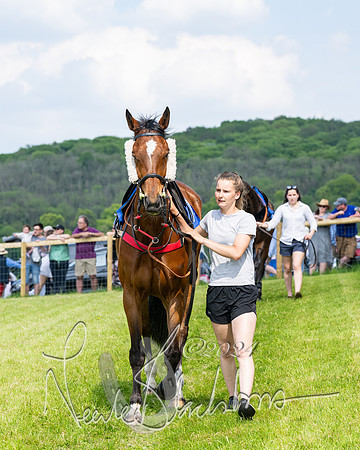 Race 3 - Ladies Open  (12 of 133)