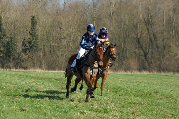 Pony Races -  30