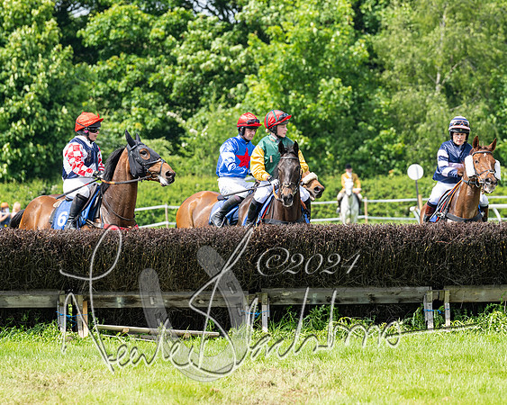 RAce 1 - Conditionsn [Level 2] (87 of 219)