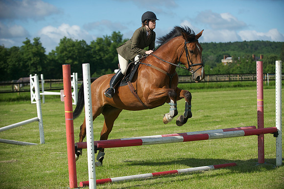 SOHS PC Summer Show at BCA 17th June 2012