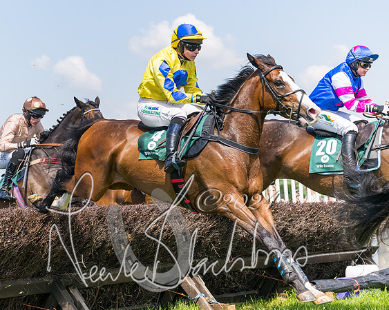 Race 2 - The Maiden  (168 of 442)