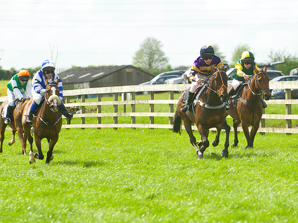Pony Race - 2    37