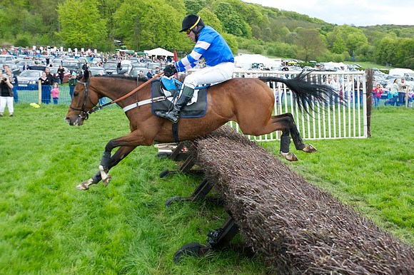 Race 4 -  31