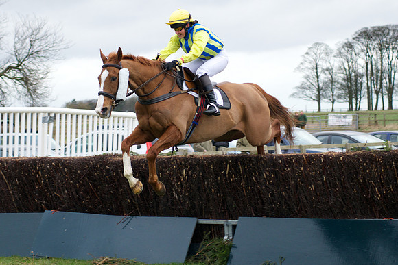 Novice Riders - 40