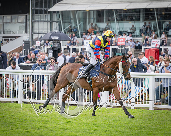 Race 2 - Olly Murphy Racing Stratford Ladies Open (41 of 111)
