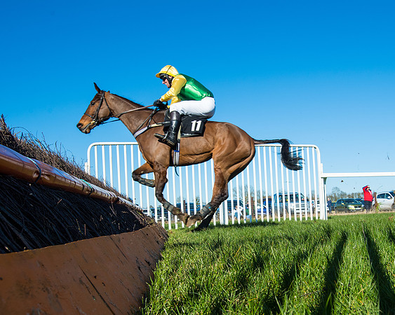 Race 5 - Novice riders (161 of 201)