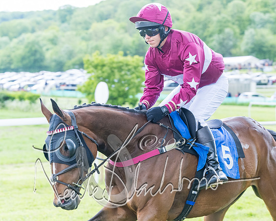 Race 3 - Conditions (131 of 367)
