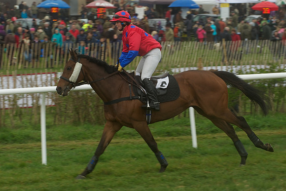 Race 4 - Novice riders 30