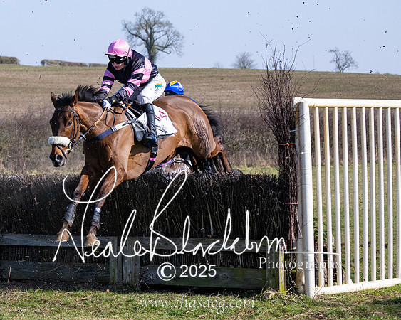 Race 1 - Maiden (102 of 188)