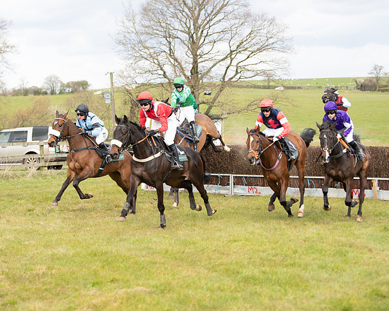 Race 2 - Young Horse Maiden (50 of 104)