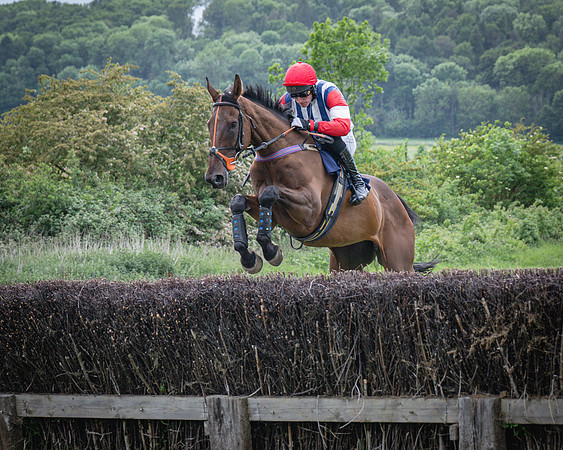 Race 6 - 2M4F Maiden (10 of 85)