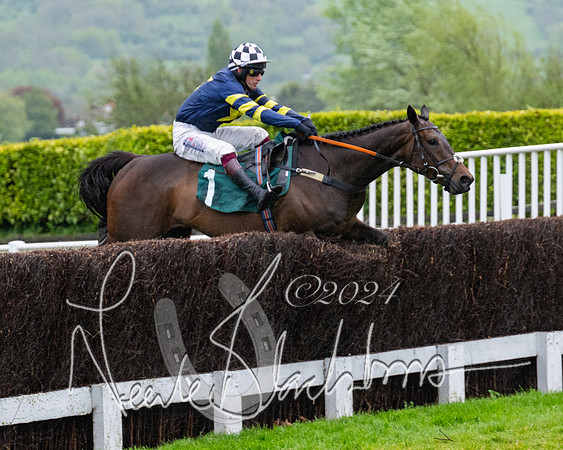 Race 5 - Mares Open  (49 of 129)