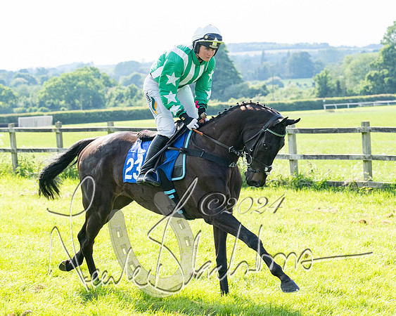 Race 5  - Maiden race 2m5F Div-2 (100 of 205)