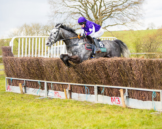 Race 5 - Restricted  (80 of 118)