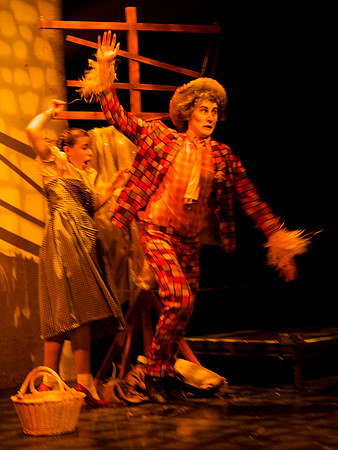 The Wizard of OZ -  106