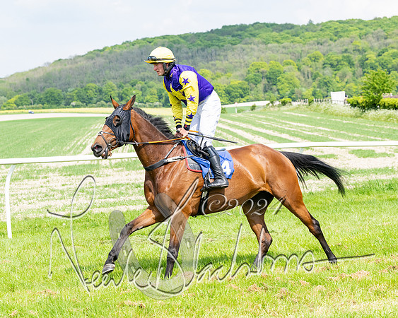 Race 2 - Restricted  (160 of 308)