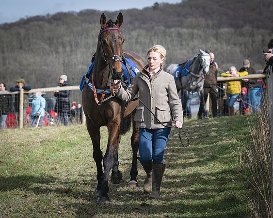 Race 3 - The Maiden Conditions (20 of 214)