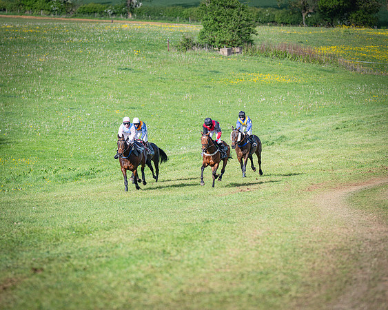 Race 7 - Walnut Hill PPORA club members maiden (29 of 104)