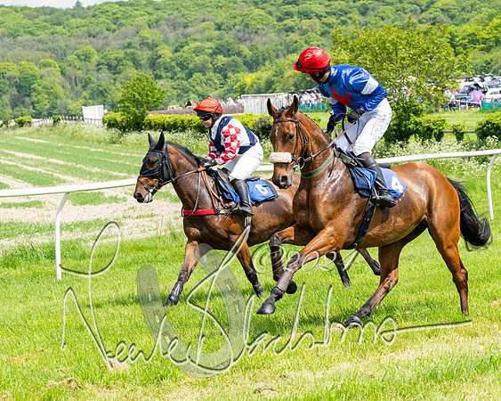 RAce 1 - Conditionsn [Level 2] (80 of 219)