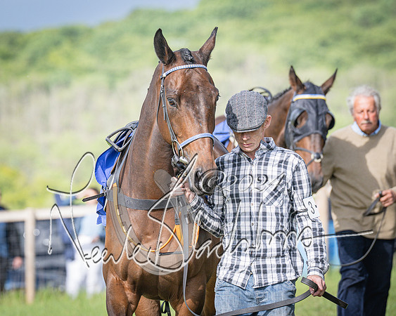 Race 6 - Thorn Plant Hire Maiden Race (19 of 129)