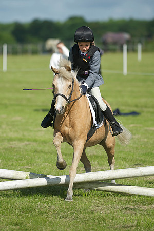 SOHS PC Summer Show at BCA 17th June 2012